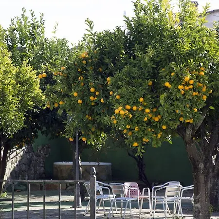 San Miguel Pensionat Trujillo