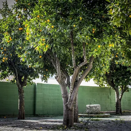 Pensionat San Miguel