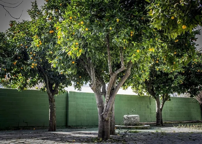 Pensjonat San Miguel